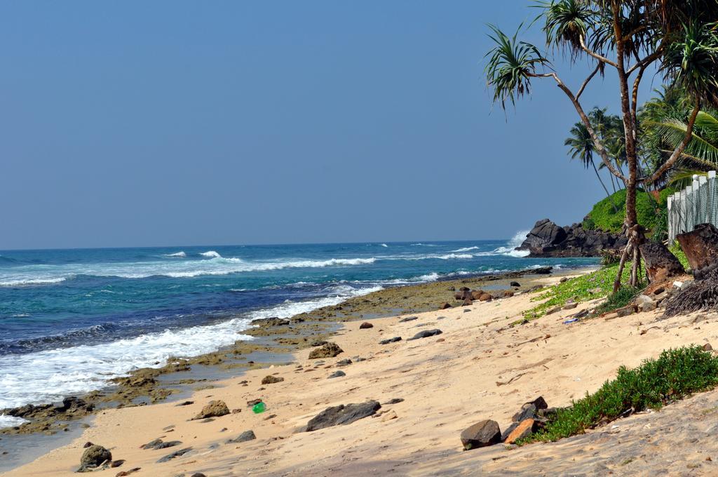 Sounds Of Nature Mini Hotel Mirissa Exterior foto